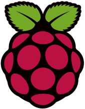 Raspi-PGB001-300x267